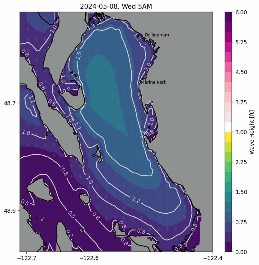 Bellingham wave example